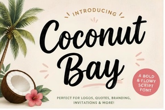 Discover the Creative Coconut Bay Font Design
